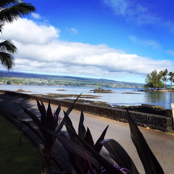 ππ€ Listing Information - Picture 2 of 6